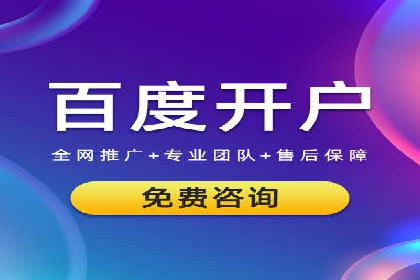 百度竞价排名实战：某行业领先企业的成功之路